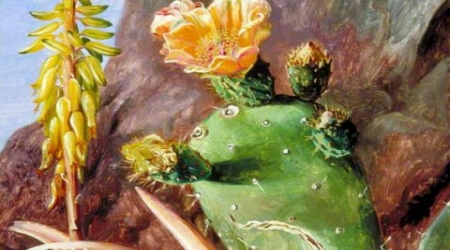 瑪麗安北稀有植物插圖（全）